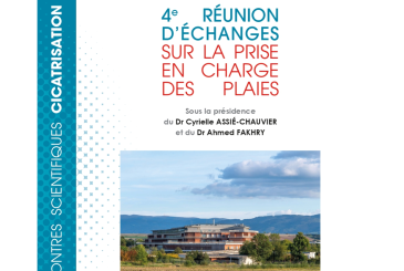 4e Réunion plaies