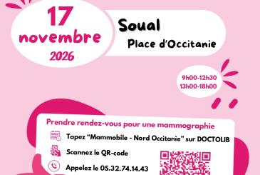 Soual